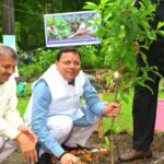 एक पेड़ माँ के नाम’ अभियान के अंतर्गत मुख्यमंत्री ने किया वृक्षारोपण, पर्यावरण संरक्षण का दिया संदेश